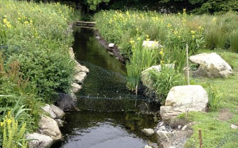 Garden Stream